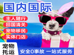 佛山航空物流国际宠物托运 【国